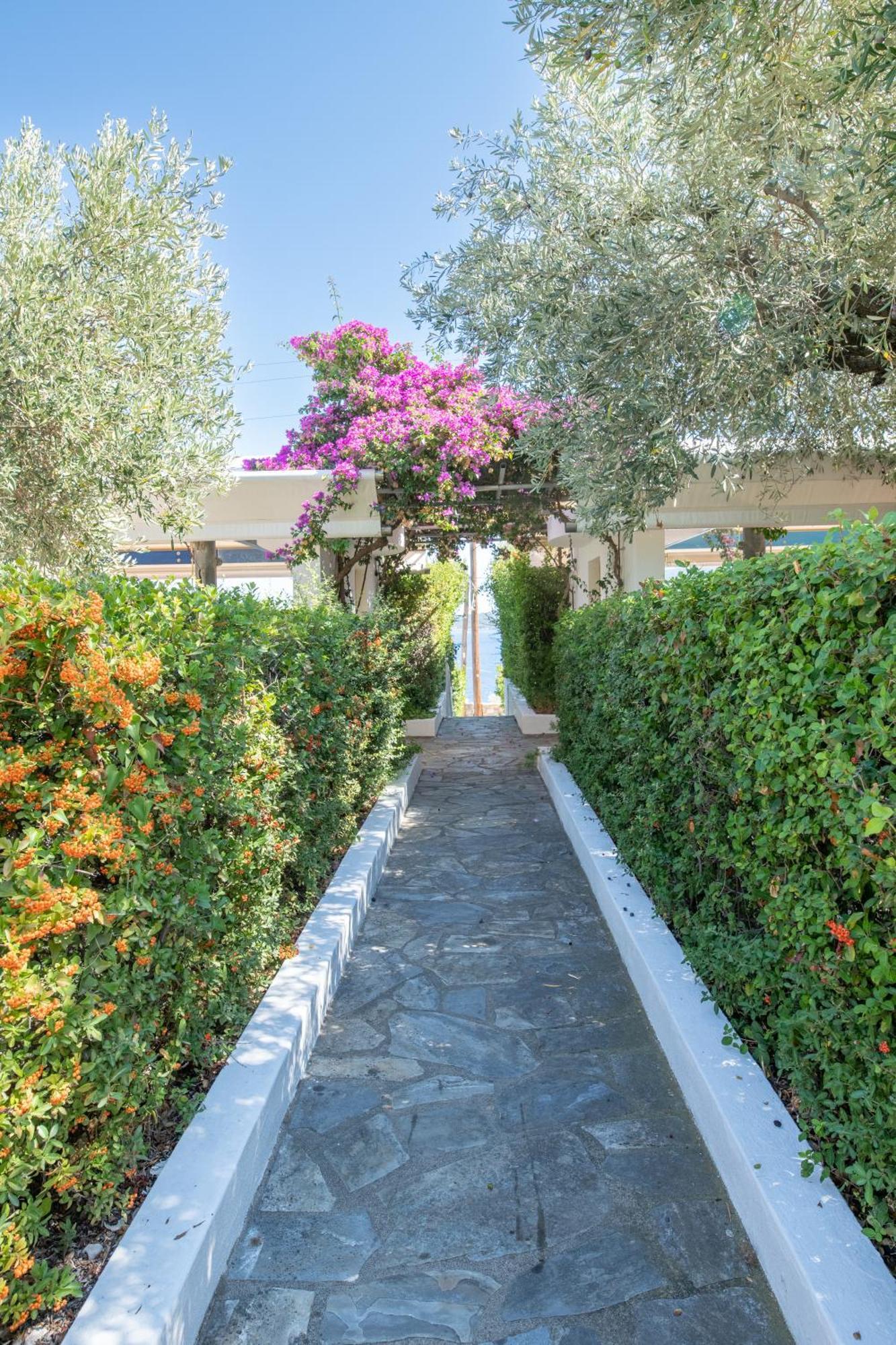 Elea Villas Steni Vala Alonissos Buitenkant foto