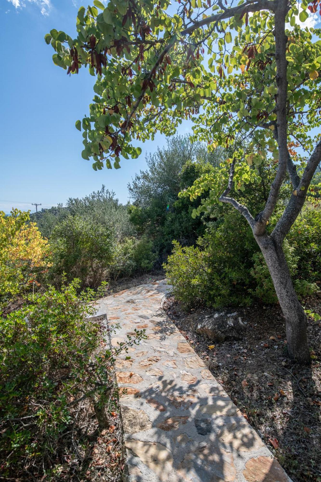 Elea Villas Steni Vala Alonissos Buitenkant foto
